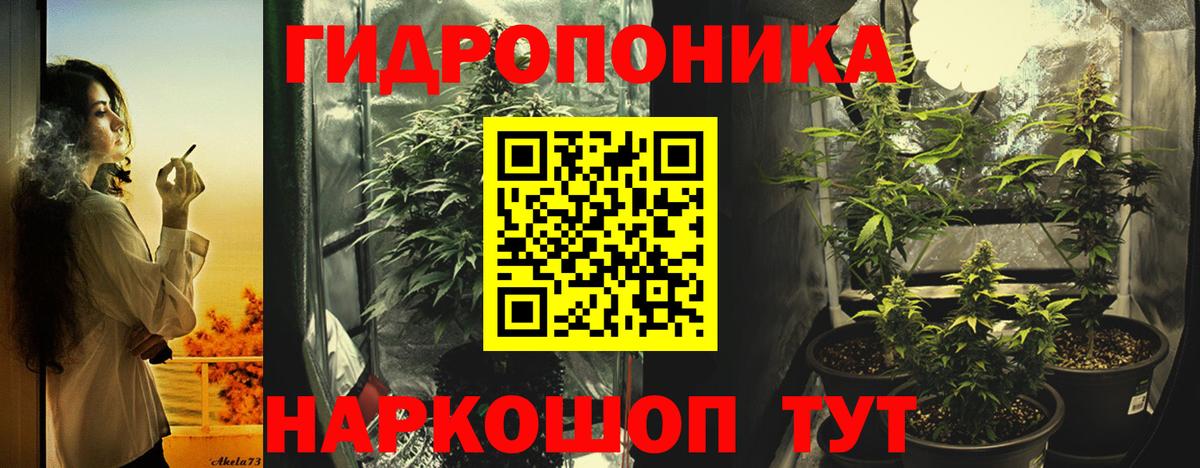 Каннабис White Widow  МАРИХУАНА AK-47  Бошки марихуана VHQ  Вход с VPN  Великий Новгород 